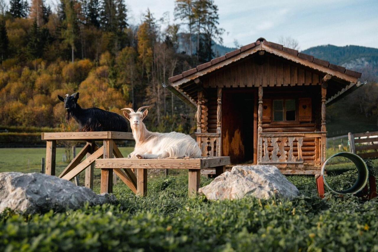 Pension Glitschnerhof Aigen im Ennstal Exterior photo